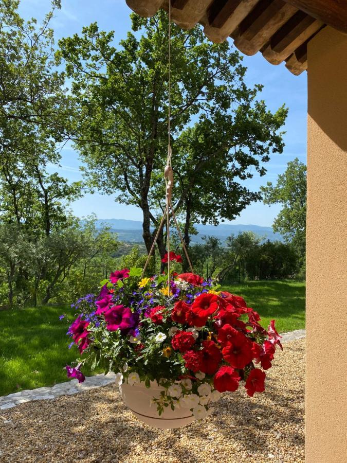Chante Coucou Saint-Saturnin-lès-Apt Exterior foto